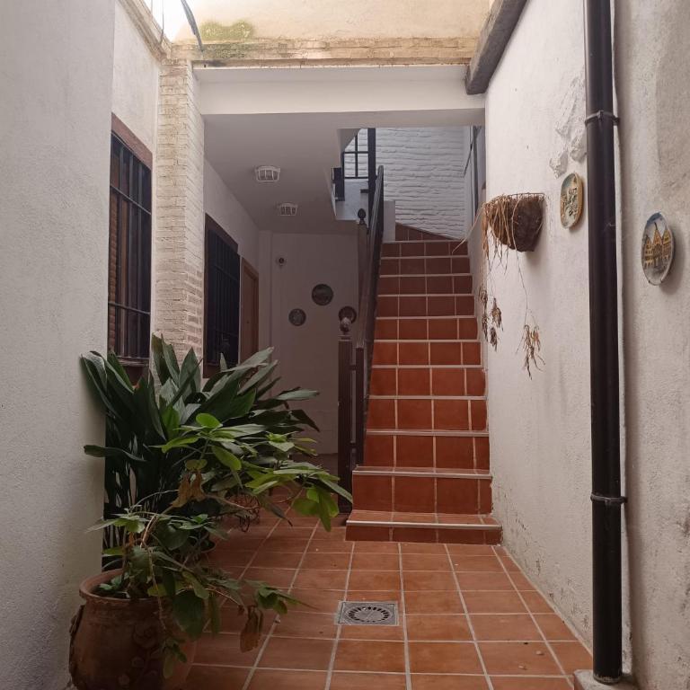 Loft rocío - Apartamento de 1 dormitorio - 13