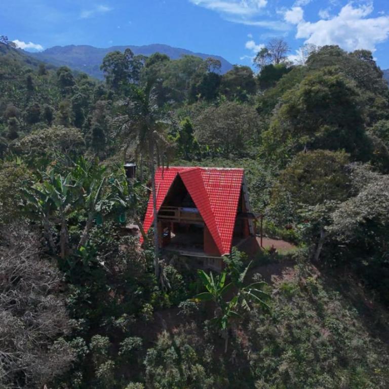 Glamping Coordilleras del Café - Tienda - 2