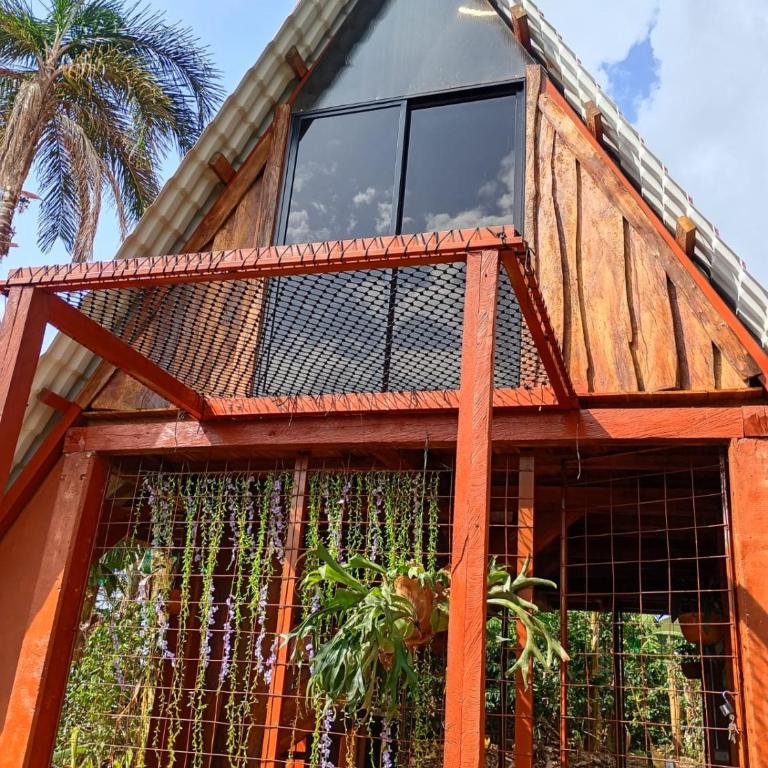 Glamping Coordilleras del Café - Tienda - 8