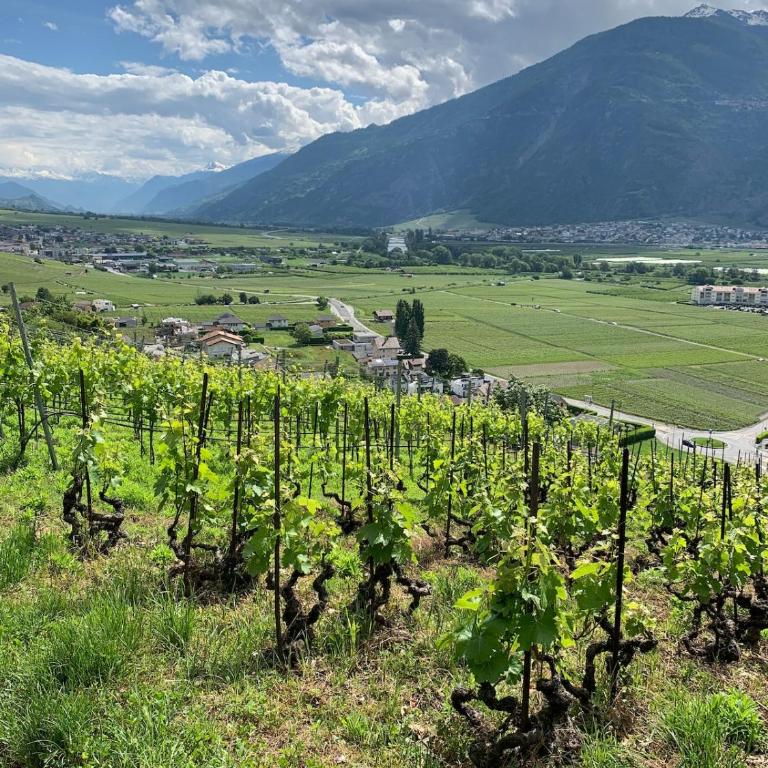 Saillon Bains, randos, vélo, ski & vignes - Apartment mit Blick auf die Berge - 19