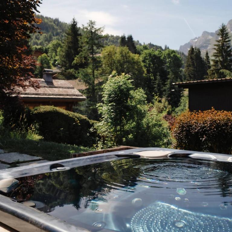 Chalet 4★, 10 pers, spa, proche pistes, animaux admis - FR-1-304-303 - Chalet - 19