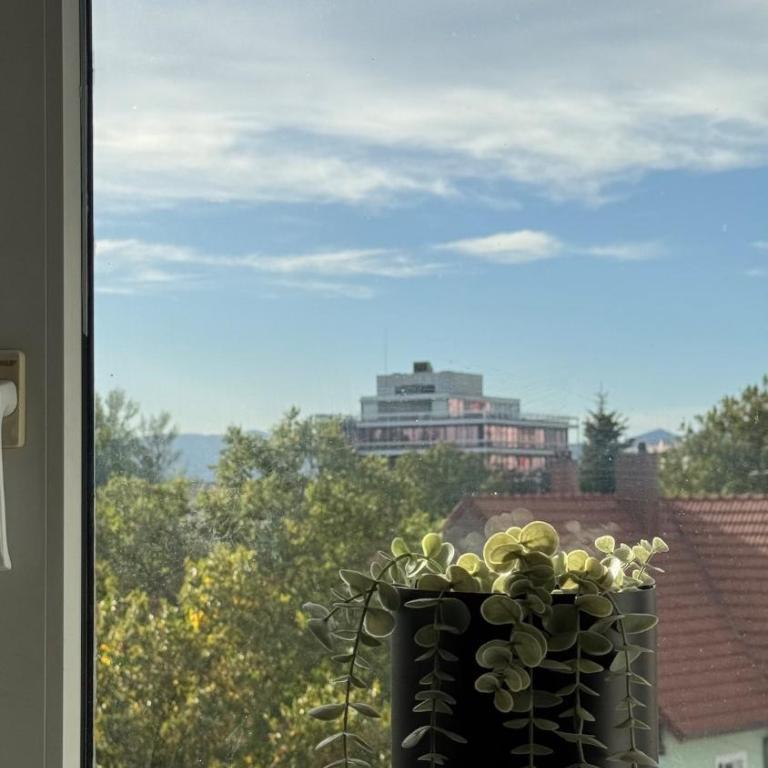 Spa secret love - One-Bedroom Apartment - 24