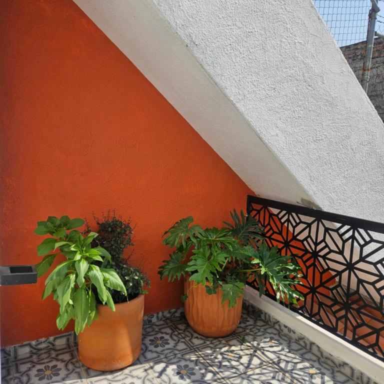 Casa Mestiza - Suite Estándar - 6