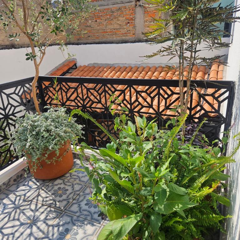 Casa Mestiza - Suite Estándar - 7
