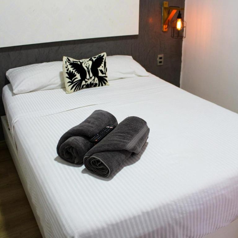 Suite Doble Parota en Centro Historico Oaxaca - Apartamento de 2 dormitorios - 7
