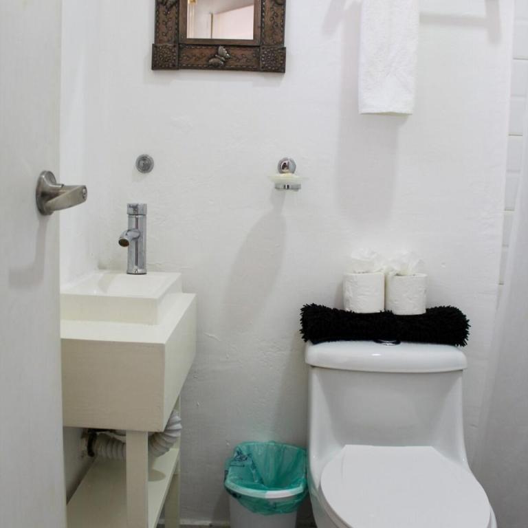 Suite Doble Parota en Centro Historico Oaxaca - Apartamento de 2 dormitorios - 15