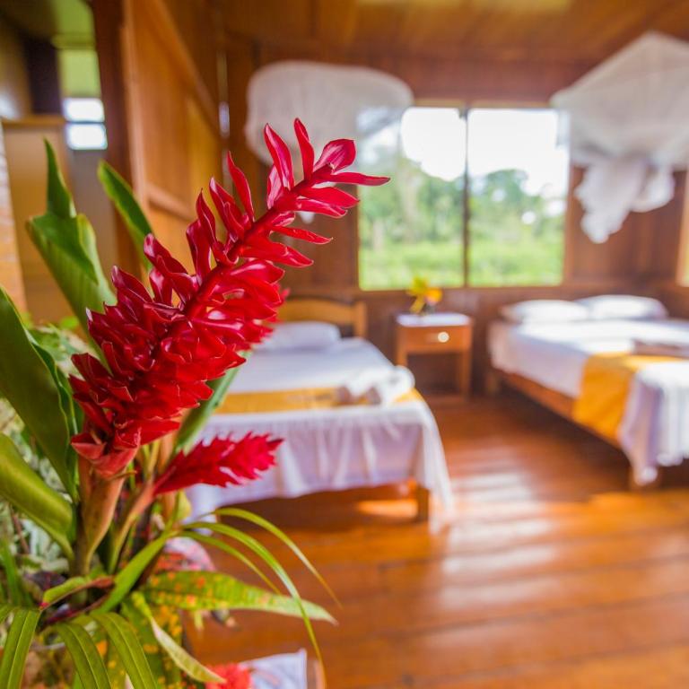 Monte Amazonico Lodge - Standard Twin Room - 2