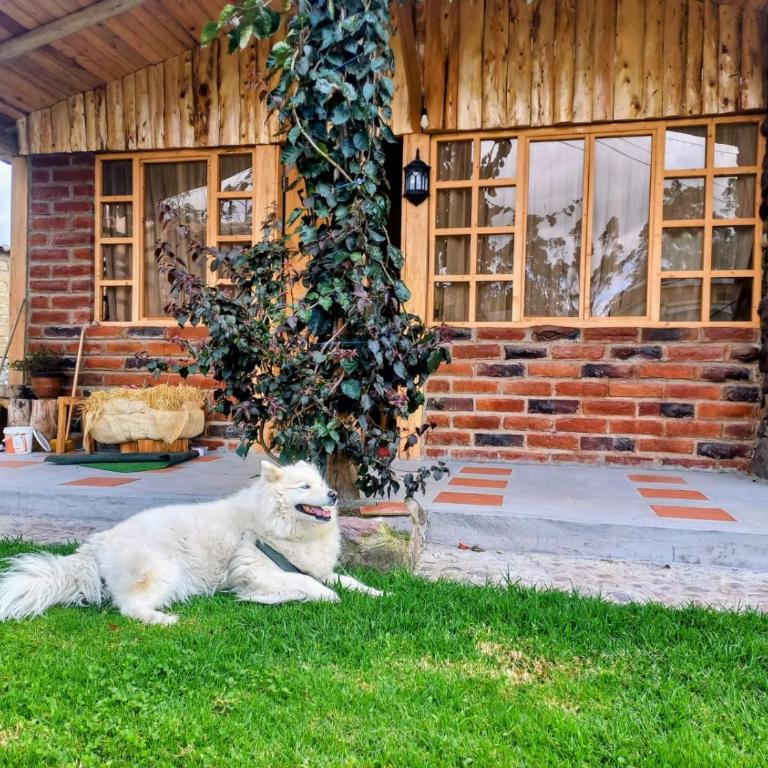 Mountain cabin Iluman - Chalet de 3 dormitorios - 7