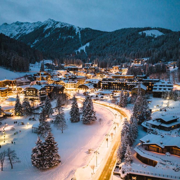 Sylva Dolomites Lodge & Private Spa - Superior Chalet - 41