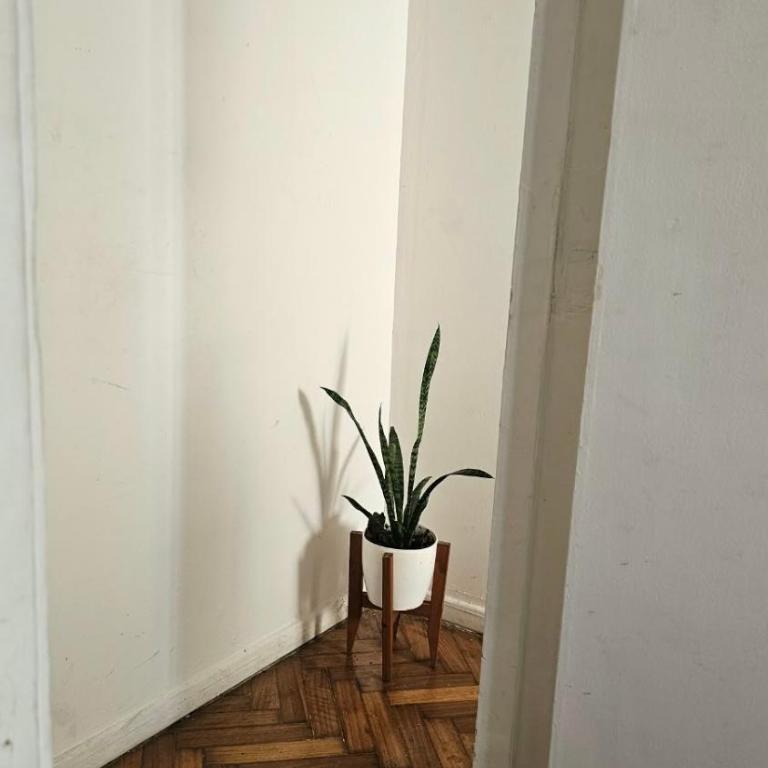 Cálido y luminoso dos ambientes en San Telmo - Apartamento de 1 dormitorio - 4