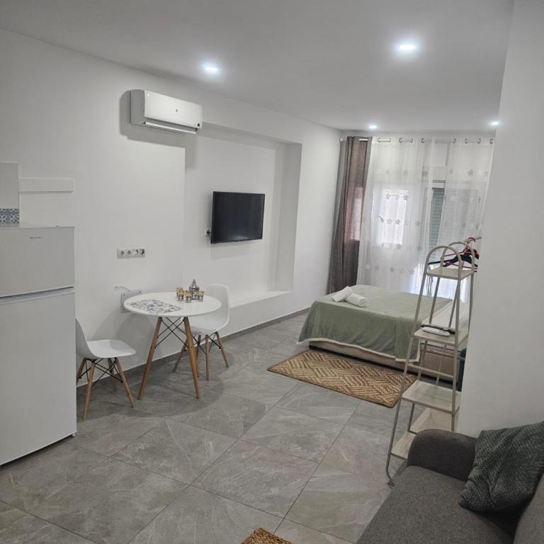 Venegas estudios - Apartamento de 1 dormitorio - 4