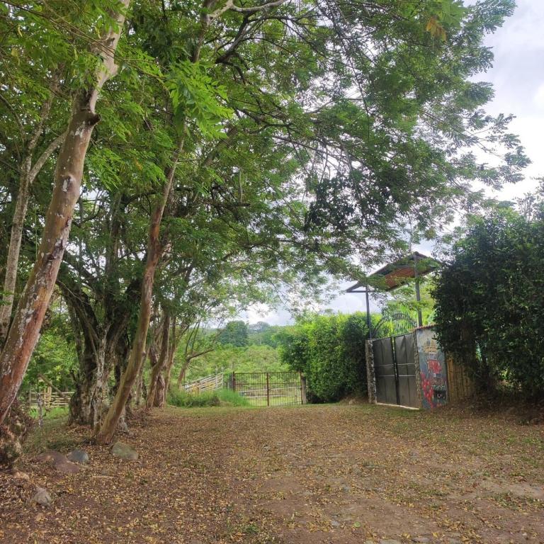 Chalet en el Quindio la casa de mis sueños - Villa - 17