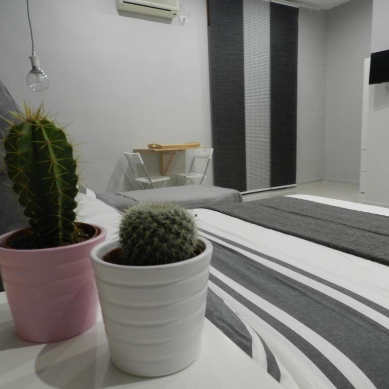 Mola Rooms - Family Room with Private Bathroom - 4