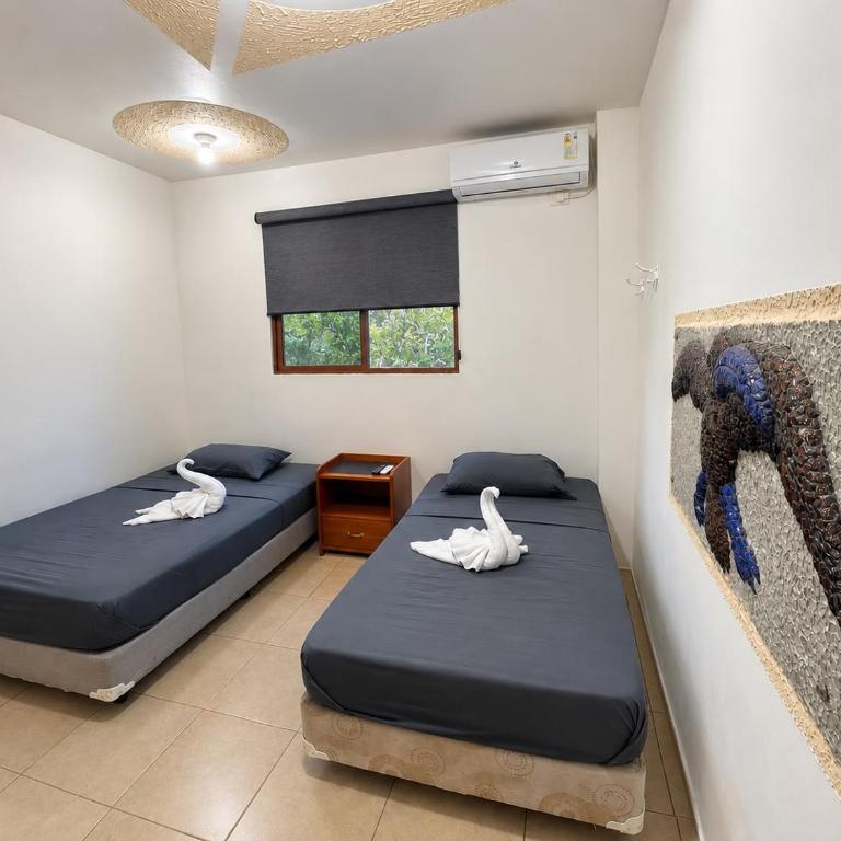 Hostal El Pinzón - Twin Room - 6
