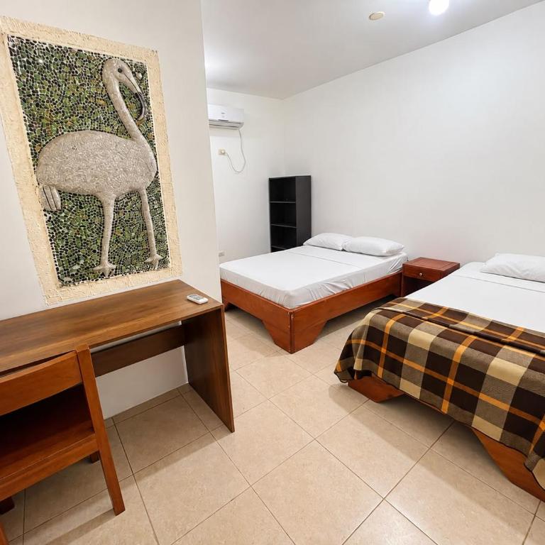 Hostal El Pinzón - Double Room - 7