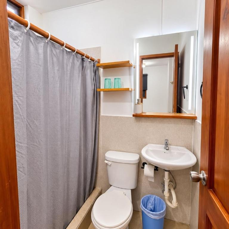 Hostal El Pinzón - Standard Triple Room - 5
