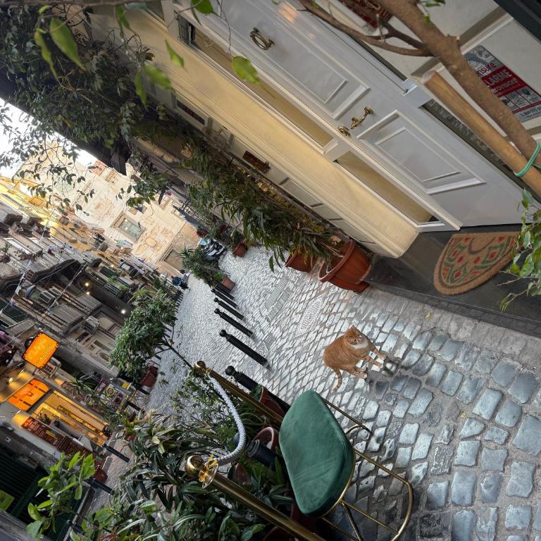 Villetta Patrizia - One-Bedroom Apartment - 3