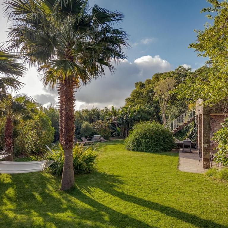 Stone Cabin in Natural Park Tarifa - Chalet con 1 Camera da Letto - 17