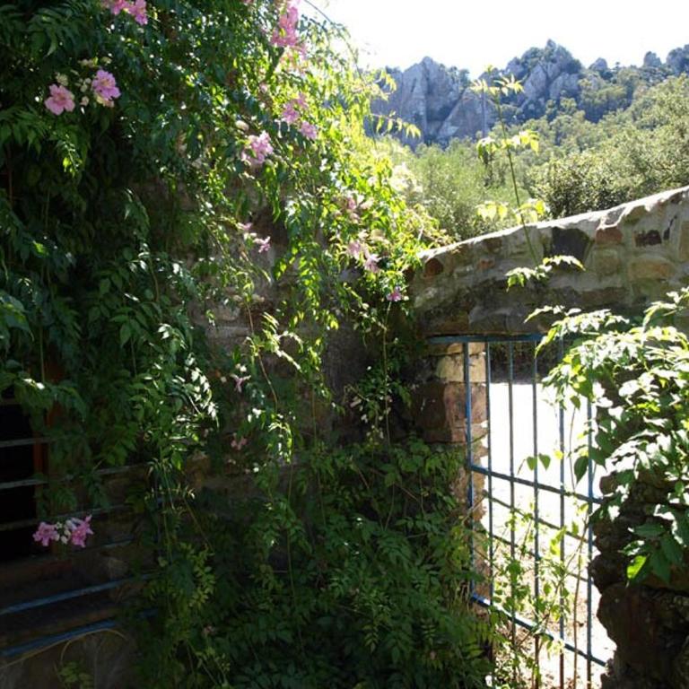 Stone Cabin in Natural Park Tarifa - Chalet con 1 Camera da Letto - 26