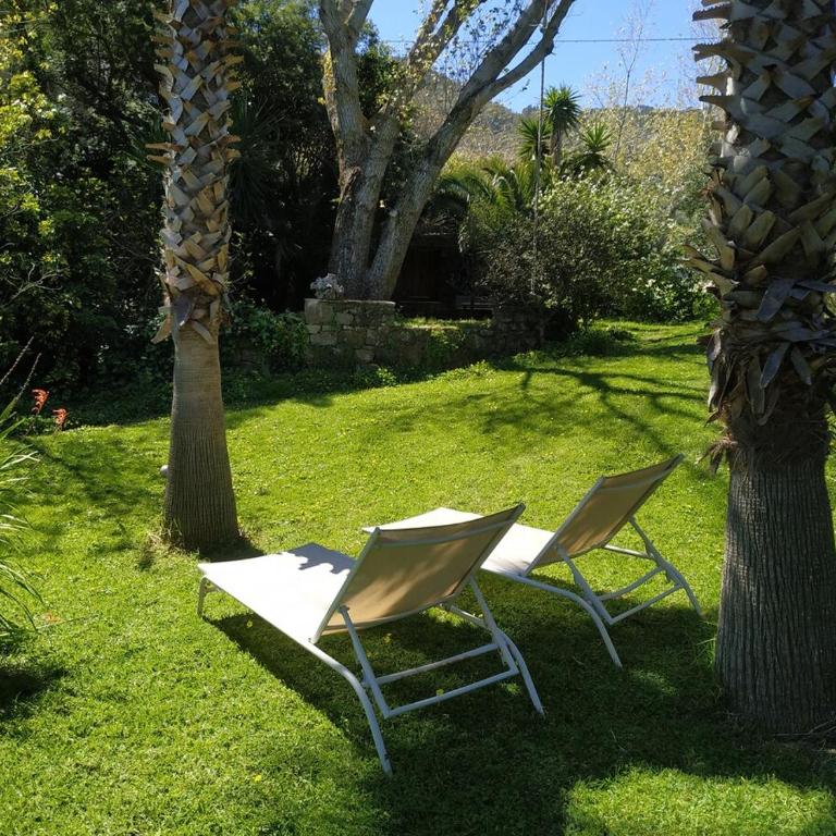 Stone Cabin in Natural Park Tarifa - Chalet con 1 Camera da Letto - 13