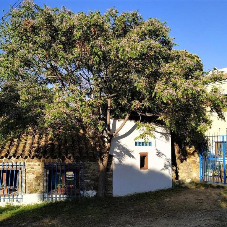 Stone Cabin in Natural Park Tarifa - Chalet con 1 Camera da Letto - 23