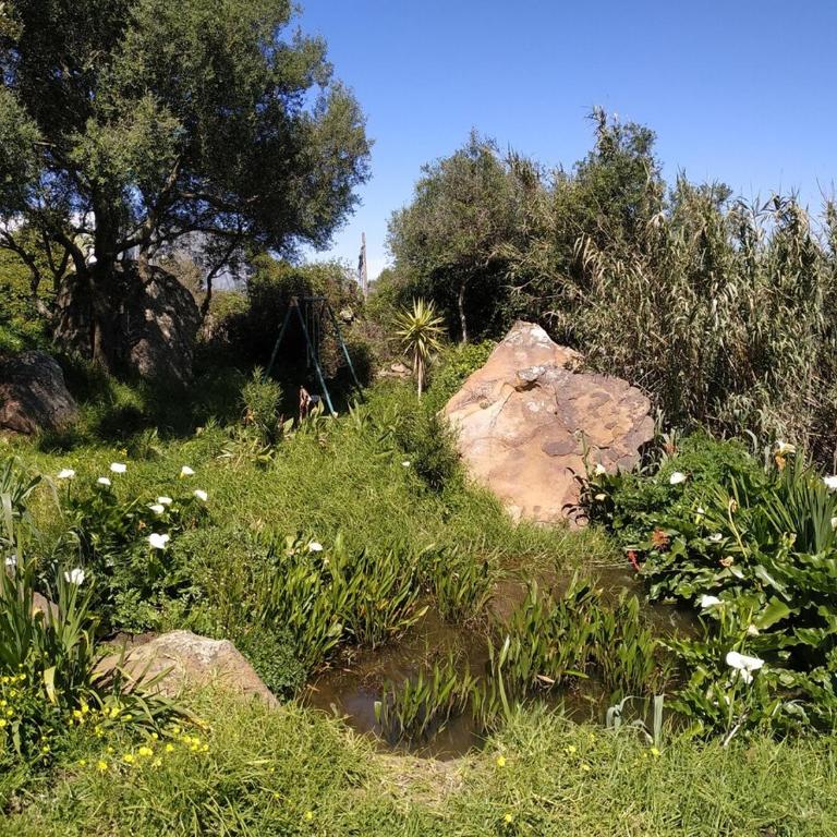 Stone Cabin in Natural Park Tarifa - Chalet con 1 Camera da Letto - 24