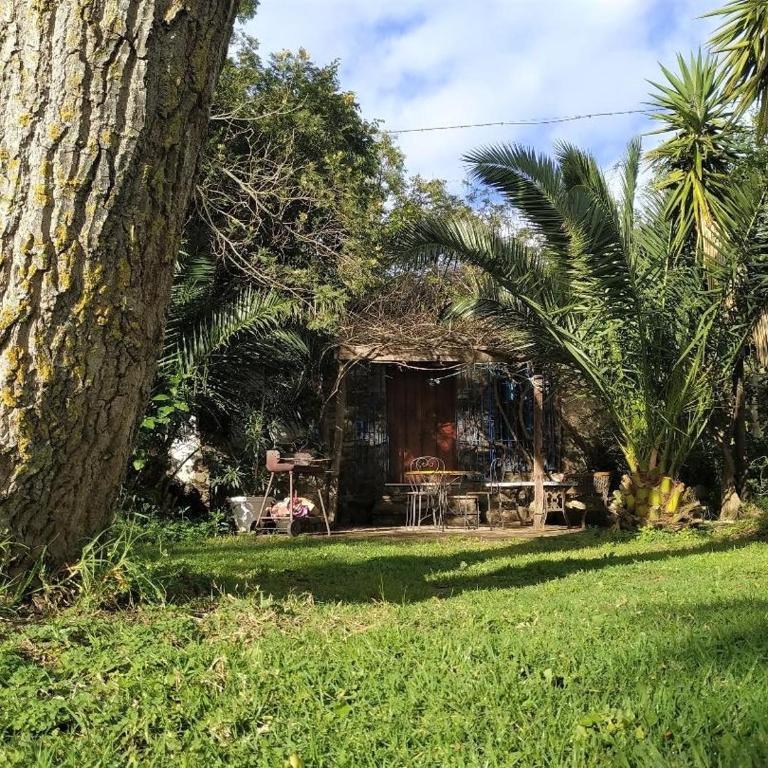 Stone Cabin in Natural Park Tarifa - Chalet con 1 Camera da Letto - 16