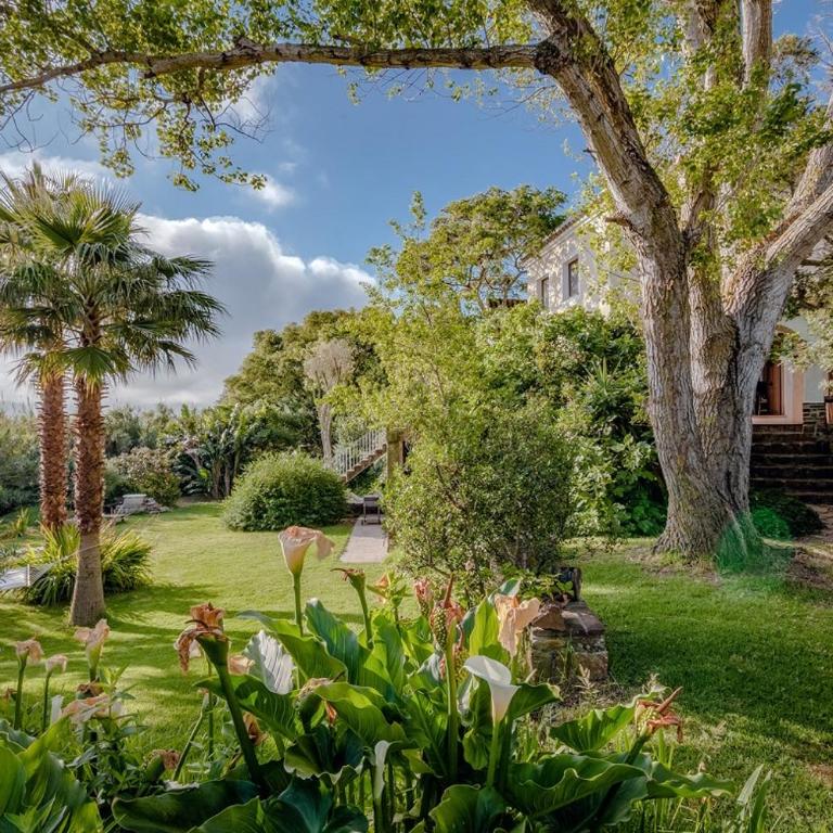 Stone Cabin in Natural Park Tarifa - Chalet con 1 Camera da Letto - 21