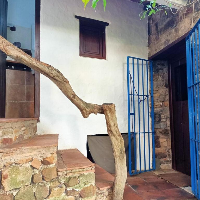 Stone Cabin in Natural Park Tarifa - Chalet con 1 Camera da Letto - 9