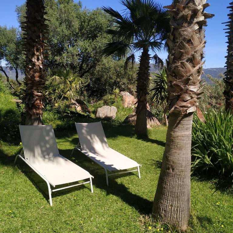 Stone Cabin in Natural Park Tarifa - Chalet con 1 Camera da Letto - 22