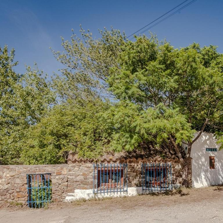 Stone Cabin in Natural Park Tarifa - Chalet con 1 Camera da Letto - 25