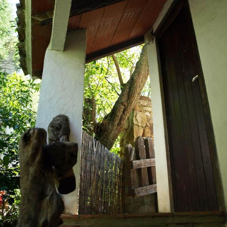 Stone Cabin in Natural Park Tarifa - Chalet con 1 Camera da Letto - 27