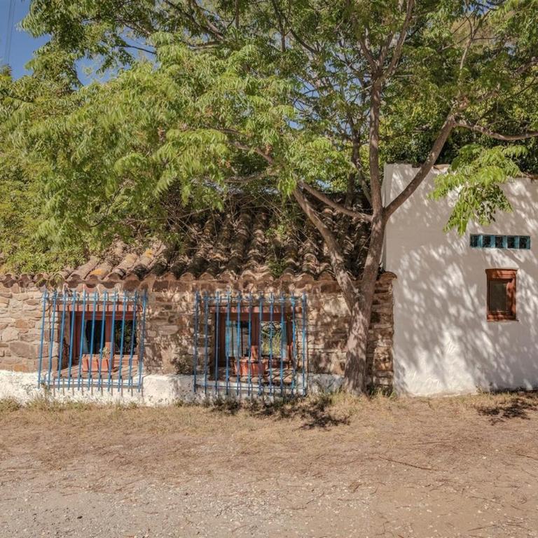 Stone Cabin in Natural Park Tarifa - Chalet con 1 Camera da Letto - 1