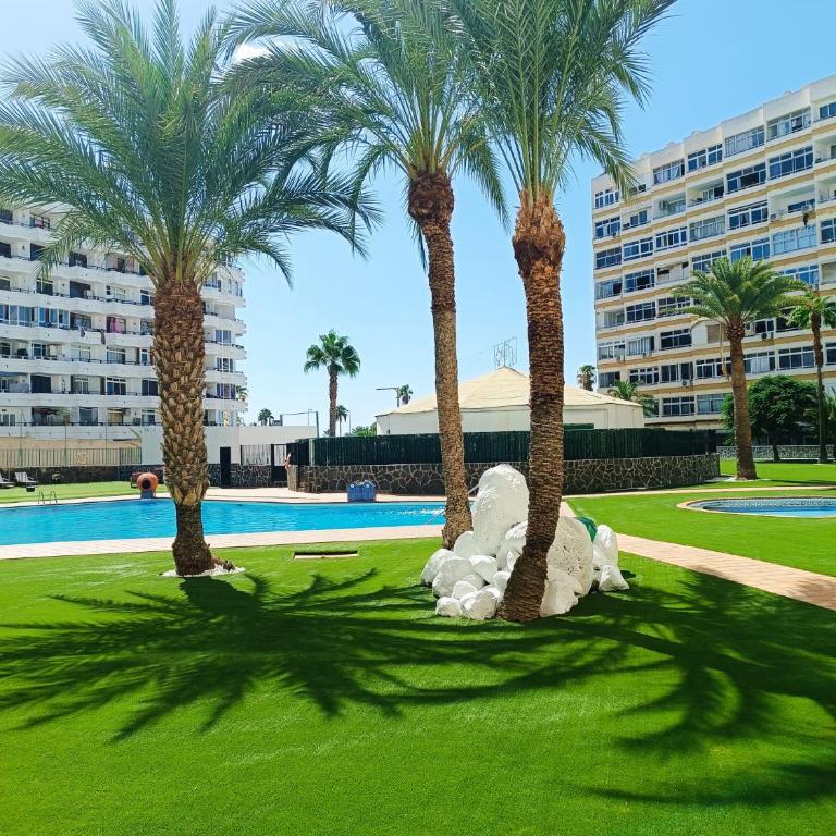 Playa del Ingles Los Molinos - Studio with Pool View - 16