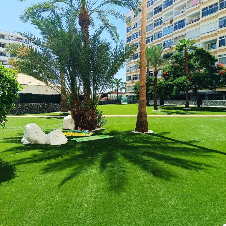 Playa del Ingles Los Molinos - Studio with Pool View - 18