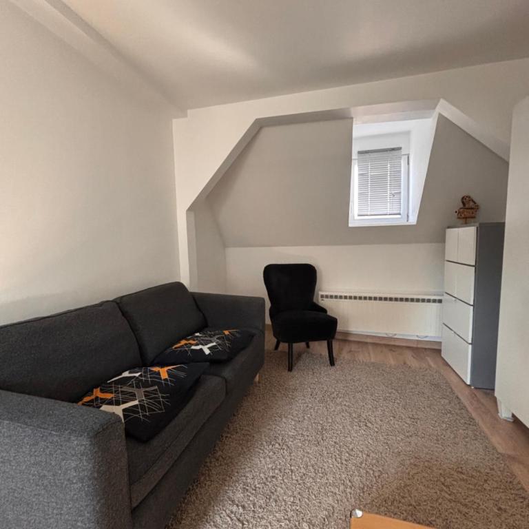 Cosy Apartment near Strasbourg - Suite mit Gartenblick - 3