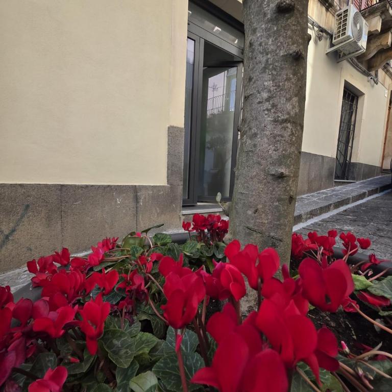 R94 Suites Acireale - Appartamento con 2 Camere da Letto - 7