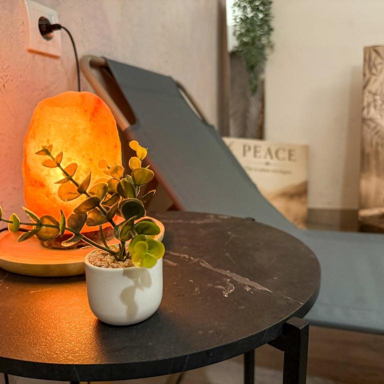 Crossroads Nest Spa - Apartman sa 1 Spavaćom Sobom - 12
