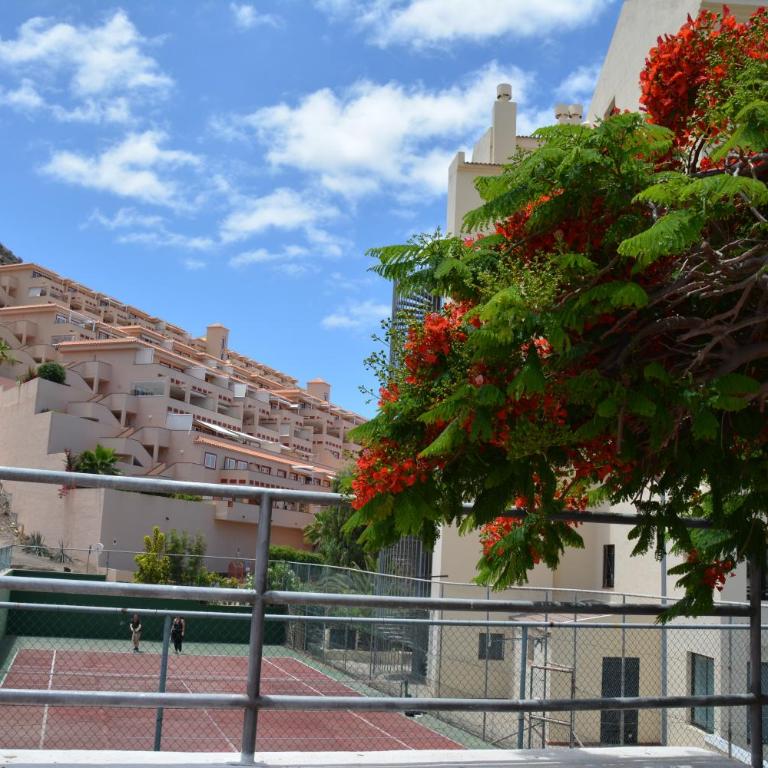 Castle H 408 - Monolocale - 27