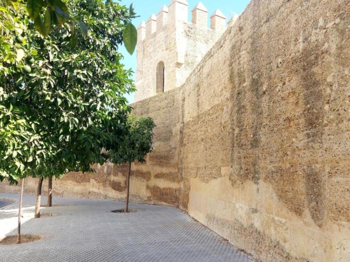 NEW LOVELY APARTAMENT WITHIN THE OLD CITY WALL - Appartamento - 27