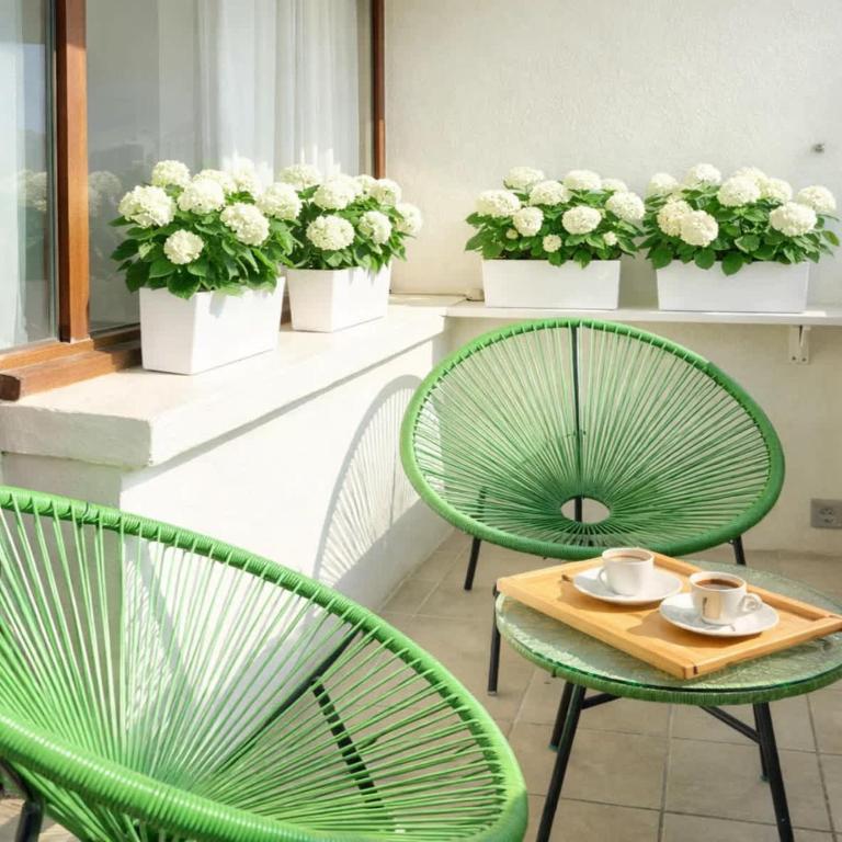 Montparnasse family flat with balcony & lift - Appartement - 25