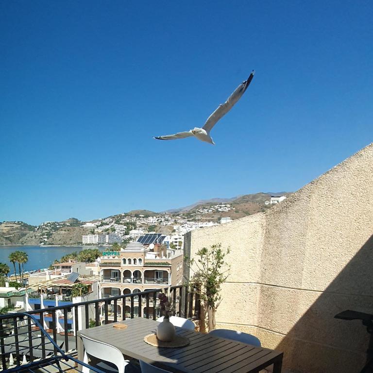 Apartamento Playa - Apartamento de 2 dormitorios - 24