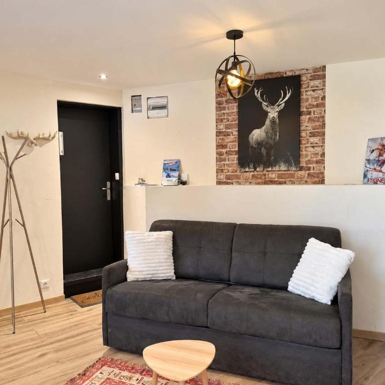 LES GENEPIS Appartement T2 moderne Tignes Val Claret - Appartement - 3
