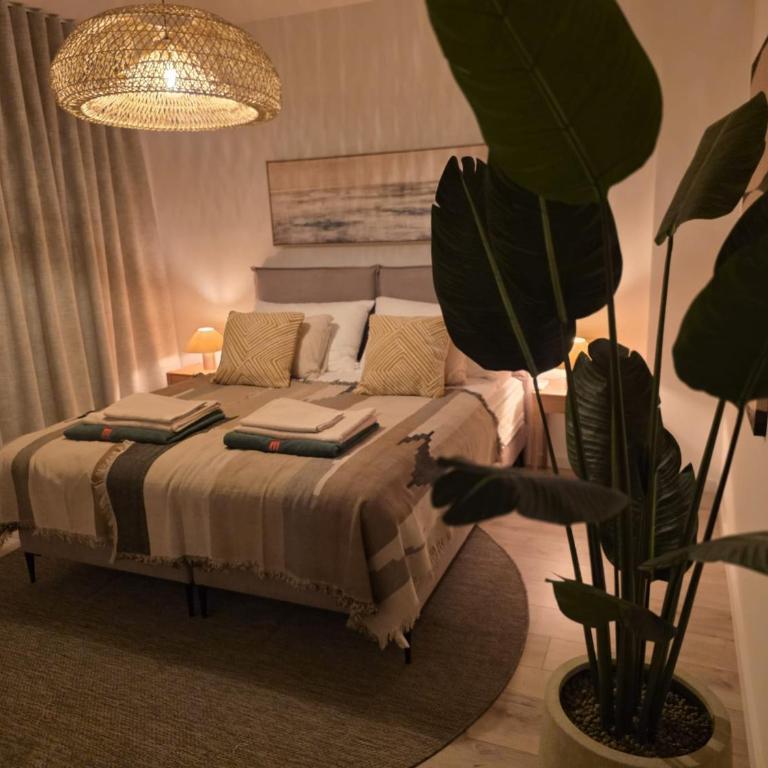 Casa MaMo - Casa con 4 camere da letto - 21