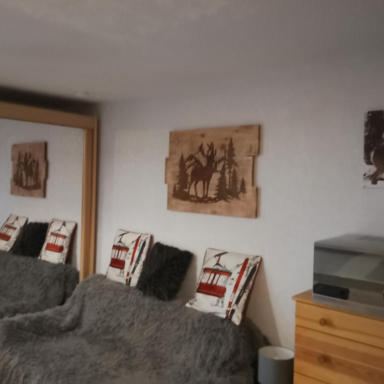 studio cabine résidence les Airelles 2 adultes 2 enfants parking casier à skis balcon vue lac --location toutes saisons-- - Studio mit Bergblick - 4