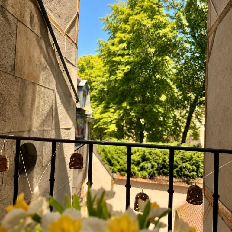 Charme et vue Halles Dijon - Balcon - Clim Mobile - Apartamento de 1 dormitorio - 17