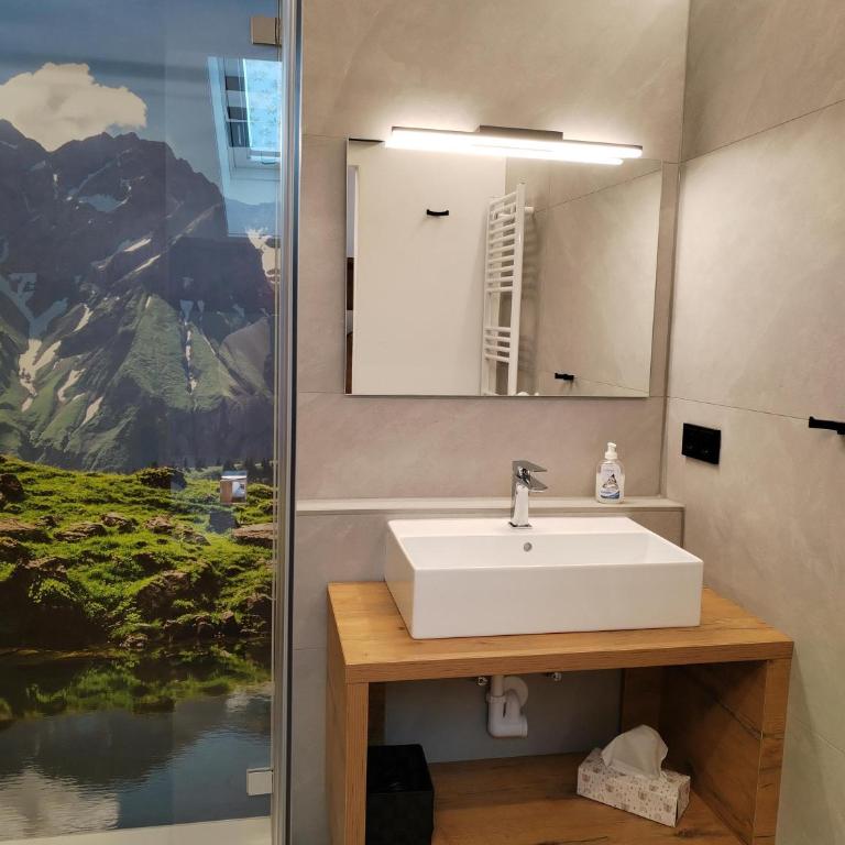Der Sonnenhof - Ferienwohnungen - Appartamento con 1 Camera da letto con doccia - 4