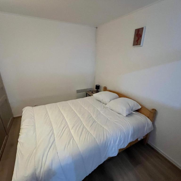 Appartement 6 pers, Châtel, avec parking et WIFI - Appartement 1 Chambre - 12
