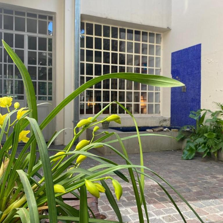 Hermosa casa con jardin y pileta - Two-Bedroom House - 24