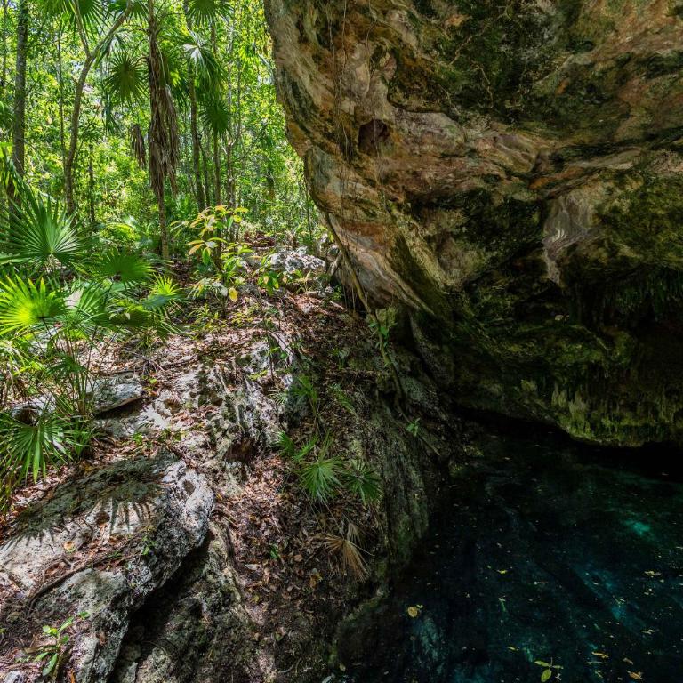 Mayakoba Paradise Pool Jacuzzis & Cenote Access - Ferienhaus - 30